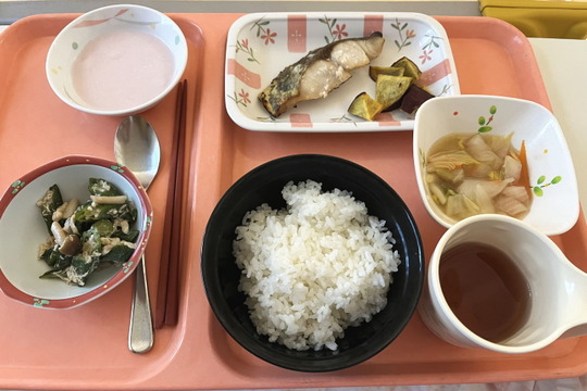 病院食d